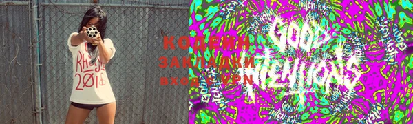 mdpv Протвино