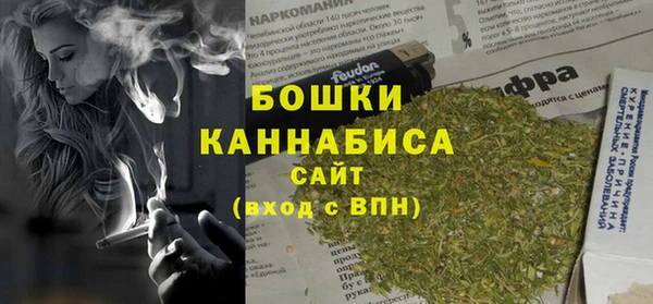 молекула духа Гатчина