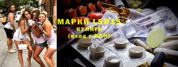 молекула духа Гатчина